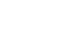 EVO logo — official BEWOKWIN gold-red lion live casino vendor